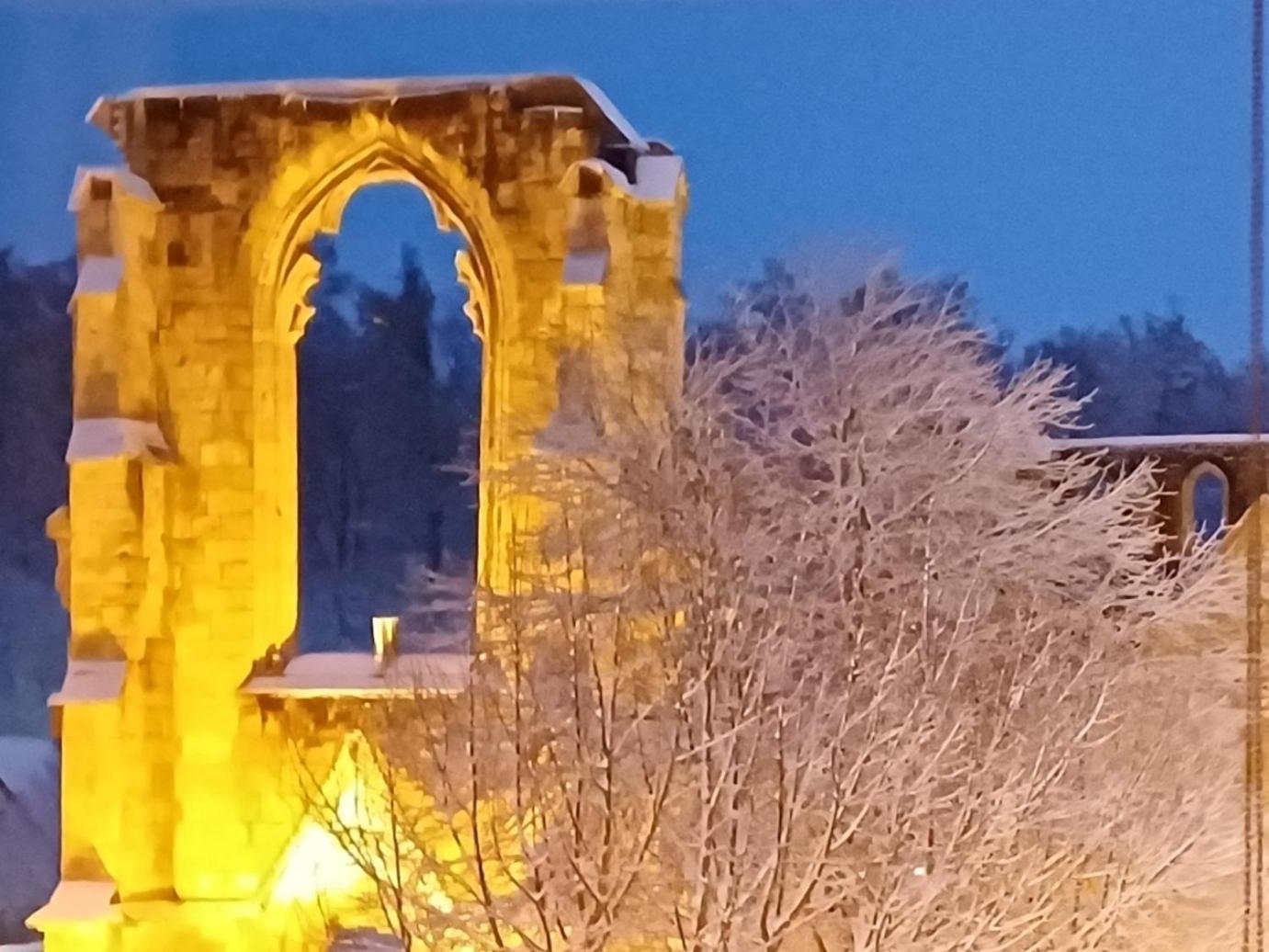 Walkenried Ferienwohnungen Klosterblick מראה חיצוני תמונה